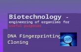 Biotechnology  -  engineering of organisms for  useful purposes