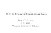 CH 10:  Chemical Equations & Calcs