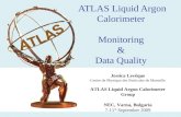 ATLAS Liquid Argon Calorimeter  Monitoring  &  Data Quality