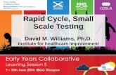 Rapid Cycle, Small Scale Testing David M. Williams, Ph.D. Institute for healthcare Improvement
