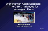 Working with Asian Suppliers: The CSR Challenges for Norwegian Firms