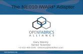 The NE010 iWARP Adapter