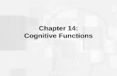 Chapter 14: Cognitive Functions