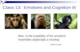 Class 13:  Emotions and Cognition III