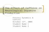 The Effect of Caffeine on Neurological Dopamine Production