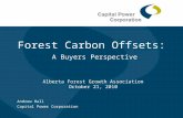 Forest Carbon Offsets: A Buyers Perspective