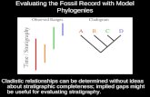 Evaluating the Fossil Record with Model Phylogenies
