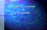 Tropical Cyclones & Tornadoes