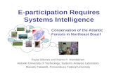 E-participation Requires Systems Intelligence