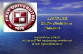 LİPİDLER Emilim-Sindirim ve        Transport