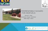 Fermentable sugars  for Biofuels