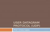 User Datagram Protocol ( udp )