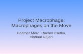 Project Macrophage: Macrophages on the Move