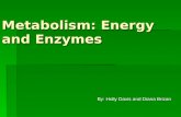 Metabolism: Energy and Enzymes