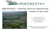 Agroforestry  ~  Working Trees for Sequestering