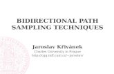 Bidirectional Path Sampling Techniques