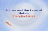 Forces and the Laws of Motion Everyday Forces