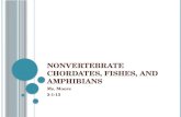 Nonvertebrate  Chordates, Fishes, and Amphibians