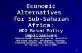 Economic Alternatives  for Sub-Saharan Africa: MDG-Based Policy Implications
