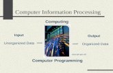 Computer Information Processing