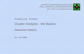 Reading Club - Similarity Cluster Analysis - the Basics Sebastian Matyas 04. Juni 2008