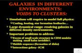 GALAXIES  IN DIFFERENT ENVIRONMENTS:  VOIDS TO CLUSTERS: