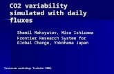 CO2 variability simulated with daily fluxes