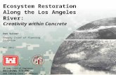 Ecosystem Restoration  Along the Los Angeles River:  Creativity within Concrete