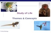 Study of Life Themes & Concepts