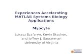 Experiences Accelerating MATLAB Systems Biology Applications Myocyte
