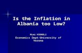 Is the Inflation in Albania too Low?