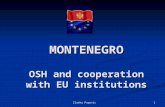 MONTENEGRO OSH and cooperation with EU institutions