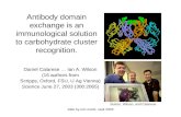 Antibody domain exchange is an immunological solution to carbohydrate cluster recognition.