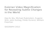 Eulerian  Video Magnification  for Revealing Subtle Changes  in the World