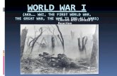 World War I  (aka……  WWI, The First World War,  The  Great War, The War to End All Wars)