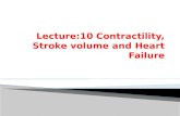 Lecture:10 Contractility, Stroke volume and Heart Failure
