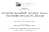 Telehealth Behavioral Health Consultation Services: Implementation Strategies and Challenges