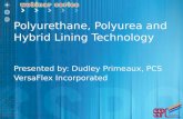 Polyurethane, Polyurea and Hybrid Lining Technology