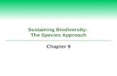 Sustaining Biodiversity:  The Species Approach