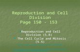 Reproduction and Cell  Division Page 150 - 153