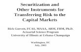 Securitization and  Other Instruments for Transferring Risk to the Capital Markets