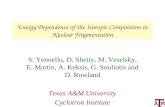 Energy Dependence of the Isotopic Composition in Nuclear Fragmentation