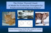 The Feline Thyroid Gland: A Model for Endocrine Disruption by Polybrominated Diphenyl Ethers?
