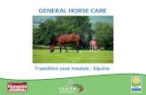 GENERAL HORSE CARE