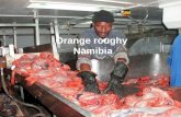 Orange roughy  Namibia