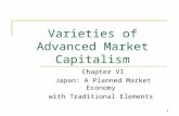Varieties of Advanced Market Capitalism