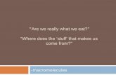“ Are we really what we eat? ” “ Where does the  ‘ stuff ’  that makes us come from? ”