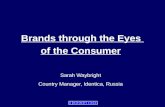 Brands through the Eyes  of the Consumer
