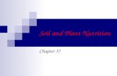 Soil and Plant Nutrition