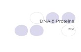 DNA & Proteins